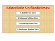 Bakterilerin Sınıflandırılması Bakterilerin Sınıflandırılması